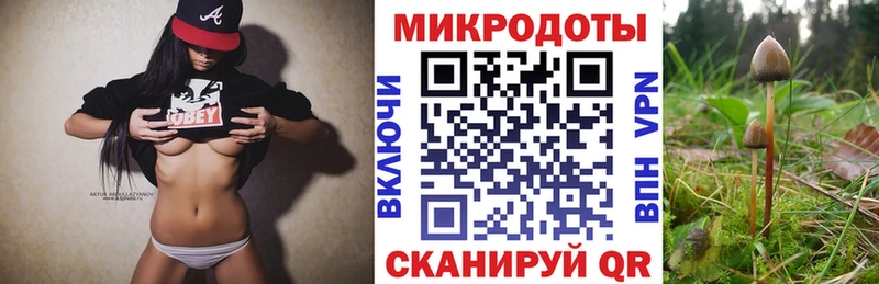 Псилоцибиновые грибы Psilocybe  Канаш 