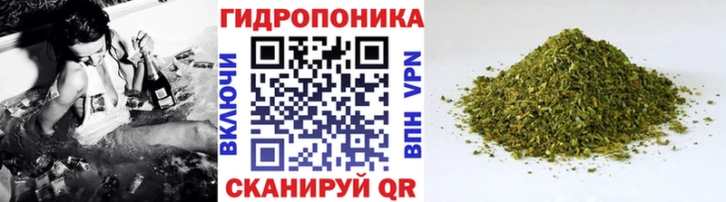 МАРИХУАНА Amnesia  Канаш 